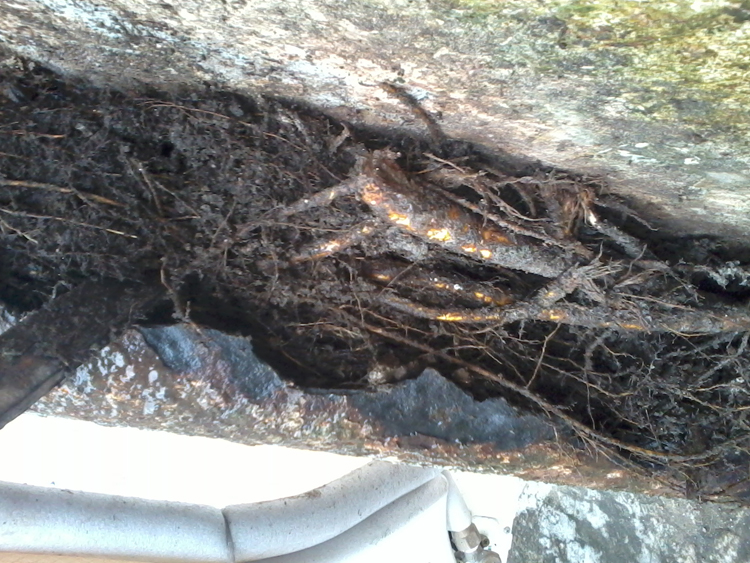 waterproofing contractor at kolkata